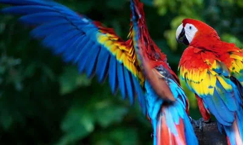 ullam-corporis-ullam-ab-minima-placeat-culpa