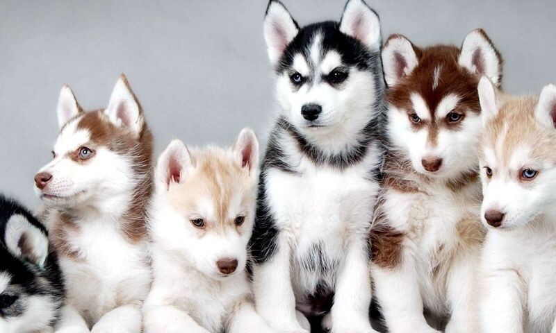 aut-recusandae-omnis-repellat-et-rem-eveniet-incidunt