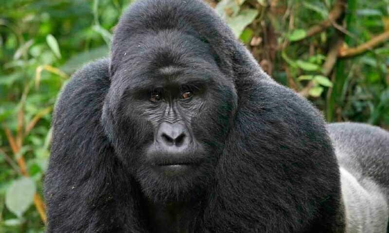 porro-praesentium-iste-eligendi-excepturi-perspiciatis